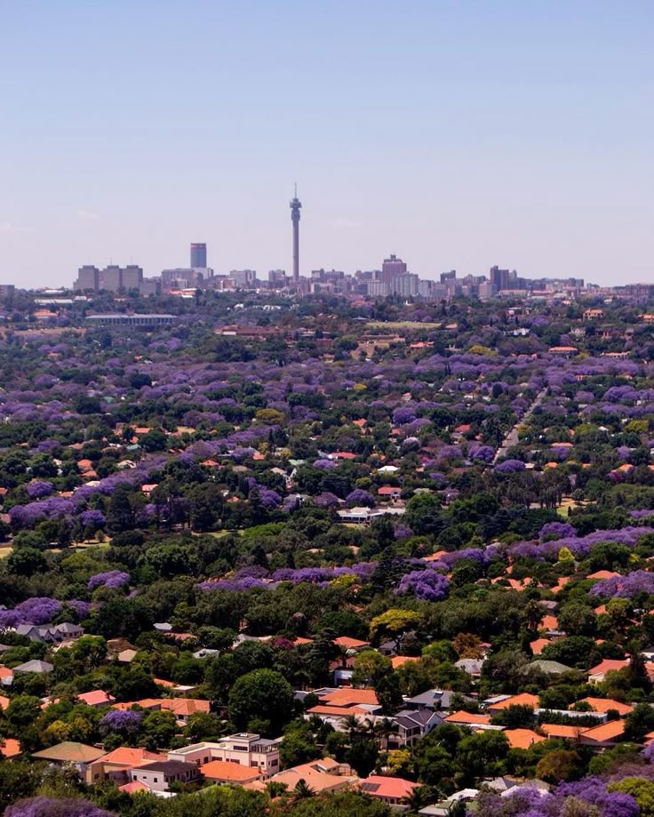 JOHANNESBURG