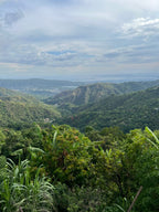 KINGSTON