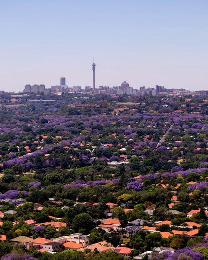 JOHANNESBURG