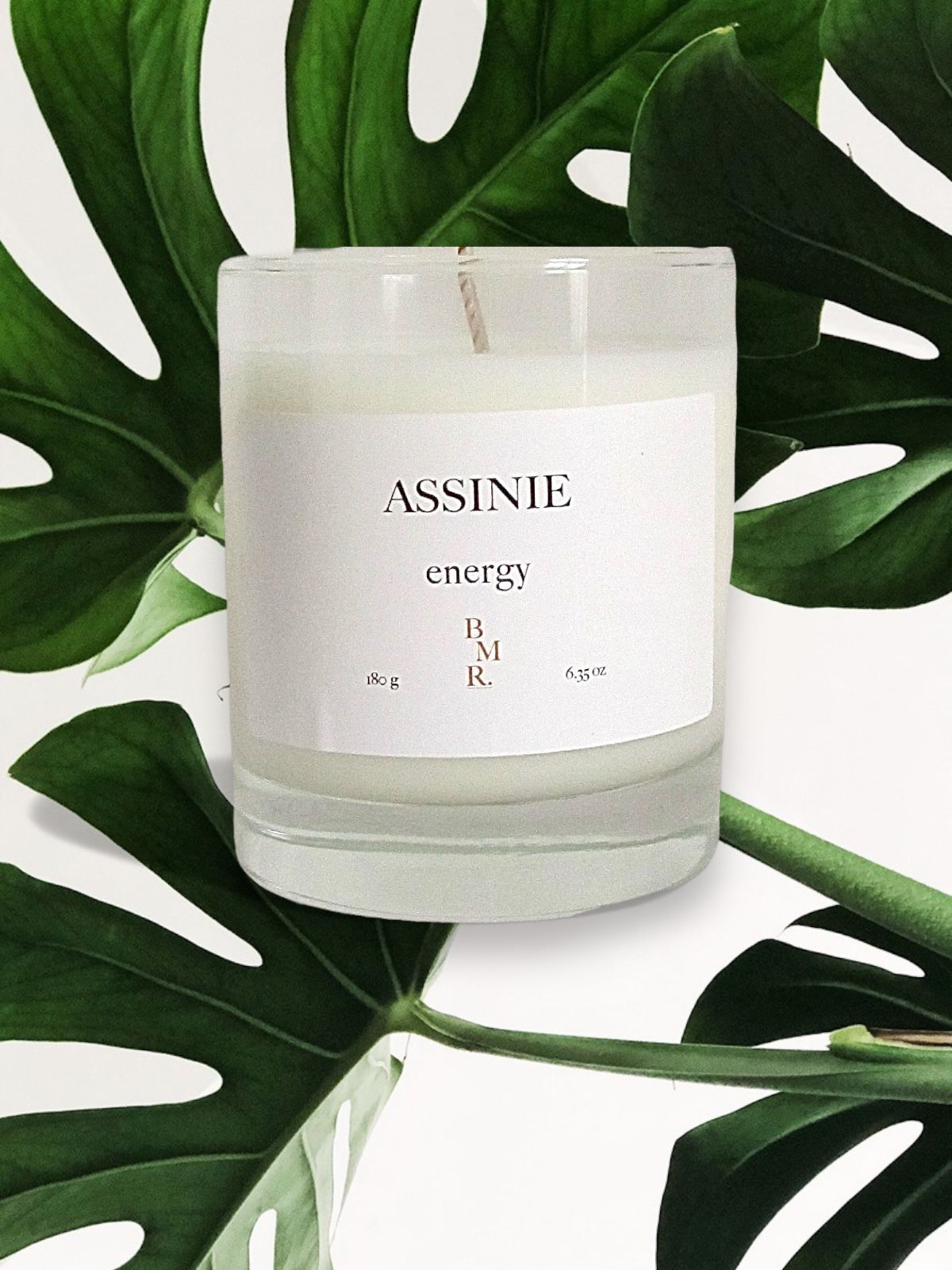 ASSINIE